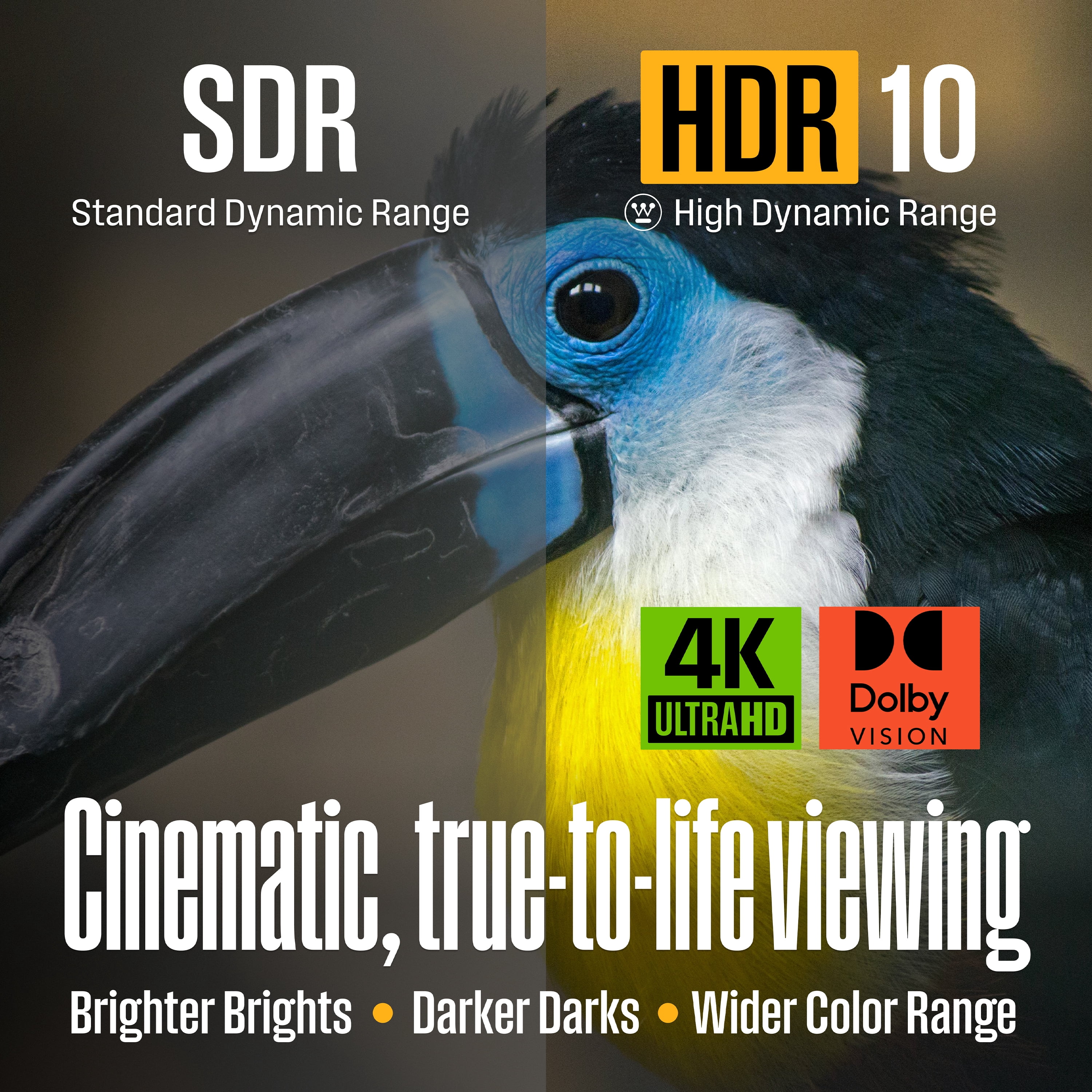 Westinghouse PS Series 55″ 4K UHD Partial Sun Outdoor TV, 700+ Nits High-Brightness Anti-Glare Display, Xumo Smart TV, Weather-Resistant Outdoor Television