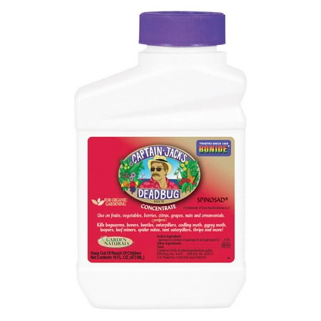 Bonide Captain Jack's Deadbug Brew Insect Killer