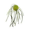 thumbnail image 1 of Ftwytp Leurres de Pêche en PVC Haute Densité à Coulée Lente - Leurres de Pêche DIY pour Bar, Poisson-Chat et Truite / Lot de 10 Accessoires Réutilisables pour Rivières, Lacs, Eau Salée, 1 of 5