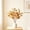 Coffee, variant on Artificial Faux Simulated Potted Decorations for Office Desktop Greenery
