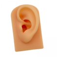 thumbnail image 1 of Accesorios de modelo de oreja Yinane Herramienta de perforación de silicona suave, 1 of 8