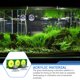 thumbnail image 4 of ADDHAT 1Ud Soporte De Acrílico Para Coral En Acuario Ideal Para Reproducción Y Crecimiento, 4 of 6