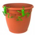 thumbnail image 1 of Red Eyed Tree Frog Thin Pot Sitter Hanger, Green - Set of 2, 1 of 1