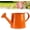 Orange, variant on White Watering Can Metal, 1l Vintage Metal Watering Can, Galvanized Water Can, for Flowers, Indoor & Outdoor Plants, Lawn & Garden (Orange)