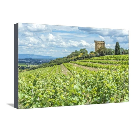 Vineyard, Rhone Valley, Ruins of castle, Chateauneuf du Pape, France Stretched Canvas Print Wall Art By Jim