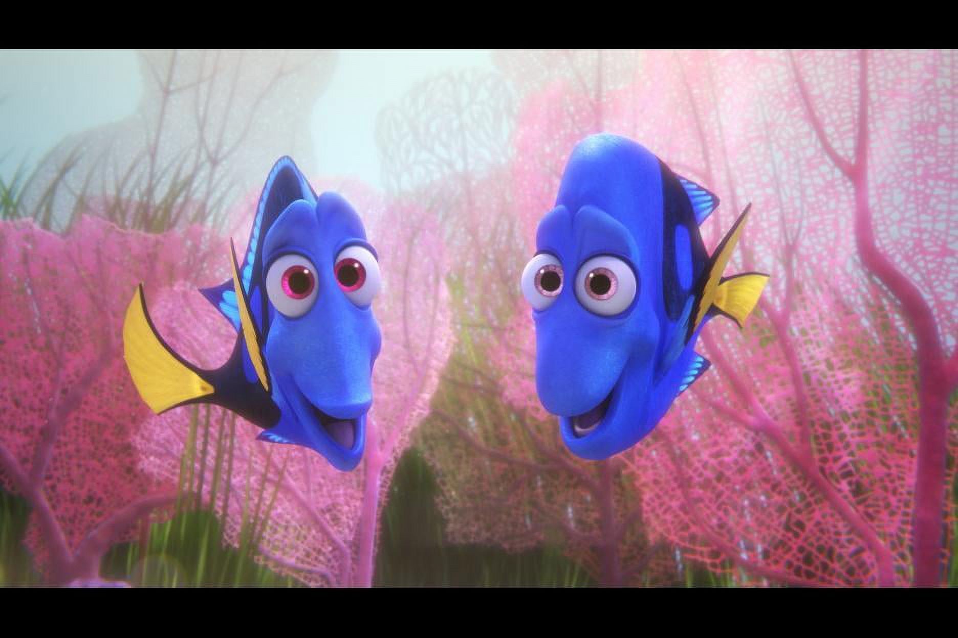 Finding Dory (Other) - image 4 of 7