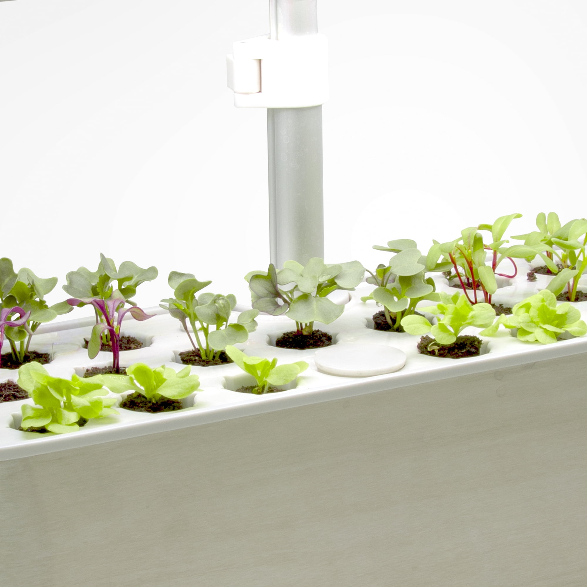 AeroGarden Seed Starting System For AeroGarden Harvest Slim Models