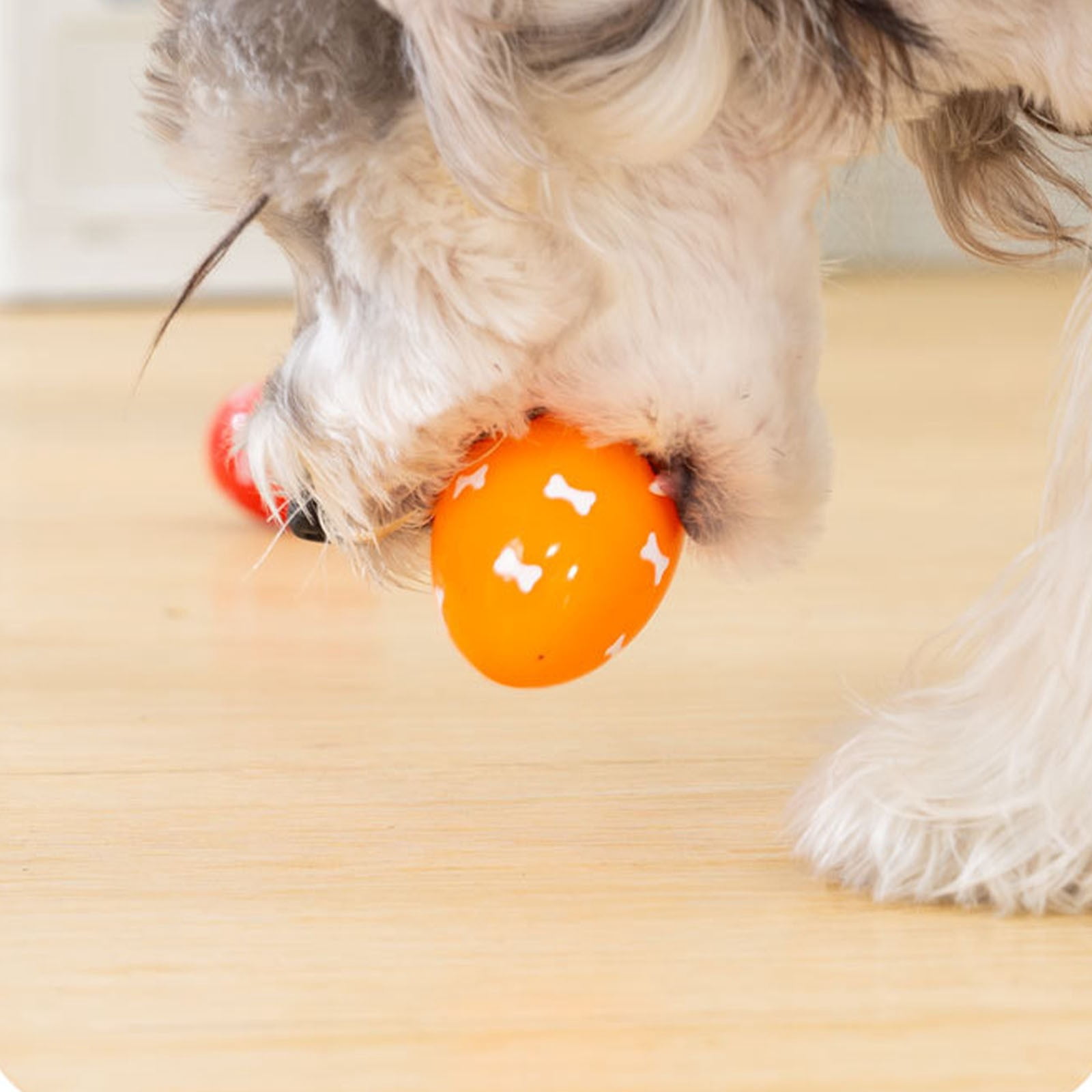Soft Squeaky Bouncing Egg Dog Toy, Cute Easter Design Interactive Throw Toy for Small Dogs & Puppies, Indoor Outdoor Pet Play Toy