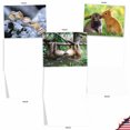 thumbnail image 4 of 10 All Occasion Blank Note Cards Pack (4 x 5.12 Inch) - ANIMAL SMACKERS M6594OCB, 4 of 6