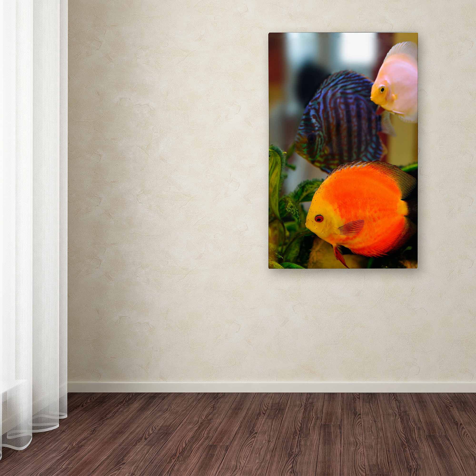 Trademark Kurt Shaffer "Multi-colored Discus" Gallery-Wrapped Canvas Art 12" x 19" (KS108-C1219GG)