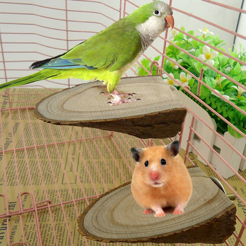 Pet Bird Parrot Wood Platform Stand Rack Toy Hamster Branch Perches Cage 