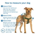thumbnail image 4 of DOCO Solar Air Step-in Reflective Dog Mesh Harness for Walking, 4 of 6