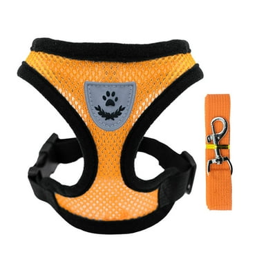 GASTROPOD Girl Dog Collars,Customizable Adjustable Dog Harness and Leash Set,Soft Breathable Escape-Proof Small Dog Harness for Walking,Step-In Design for Dachshunds and Puppies