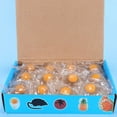 thumbnail image 4 of Decompress Prank Toys Anti Stress Egg Water Ball Relief Toys, 4 of 6