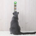 thumbnail image 5 of Licks Licks Kitty Sucette Hi Hi Jouet Chatsworth, 5 of 5