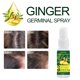 thumbnail image 5 of Aceite Germinal de Jengibre Labymos 30ml Crecimiento del Cabello Natural, 5 of 7