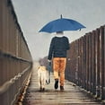 thumbnail image 2 of 43 In Long Stick Umbrella for Men and Women, Automatic Open, Double Strong Umbrella Bone for Outdoor Use, Rain & Wind Resistant Umbrellas-Purplish Blue, 2 of 9