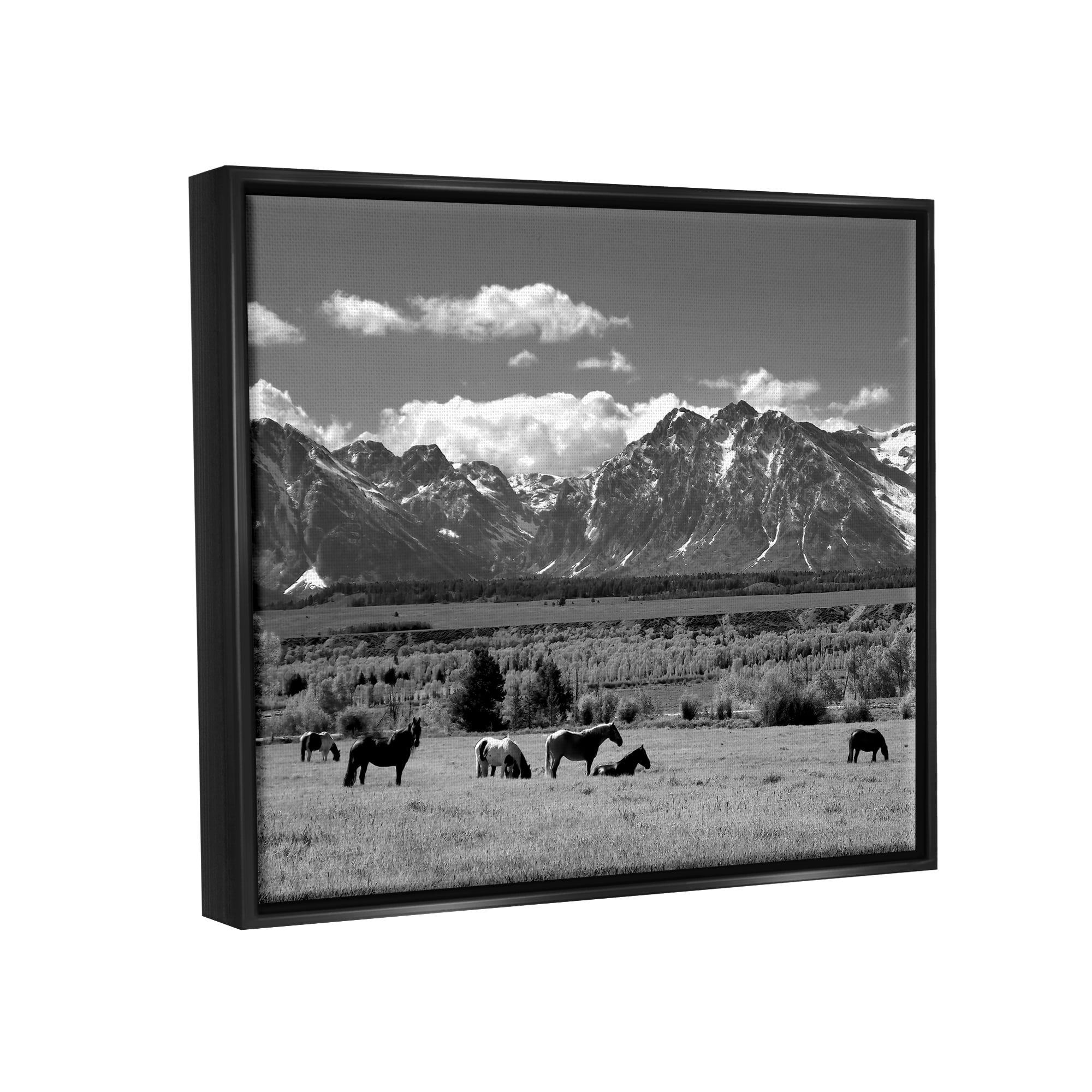 Stupell Industries Horses Grazing Countryside Landscape Photography Black Floater Framed Canvas Art Print Wall Art, 21 x 17
