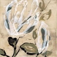 thumbnail image 3 of Goldberger, Jennifer 20x20 Black Modern Framed Museum Art Print Titled - Flower Pods I, 3 of 5