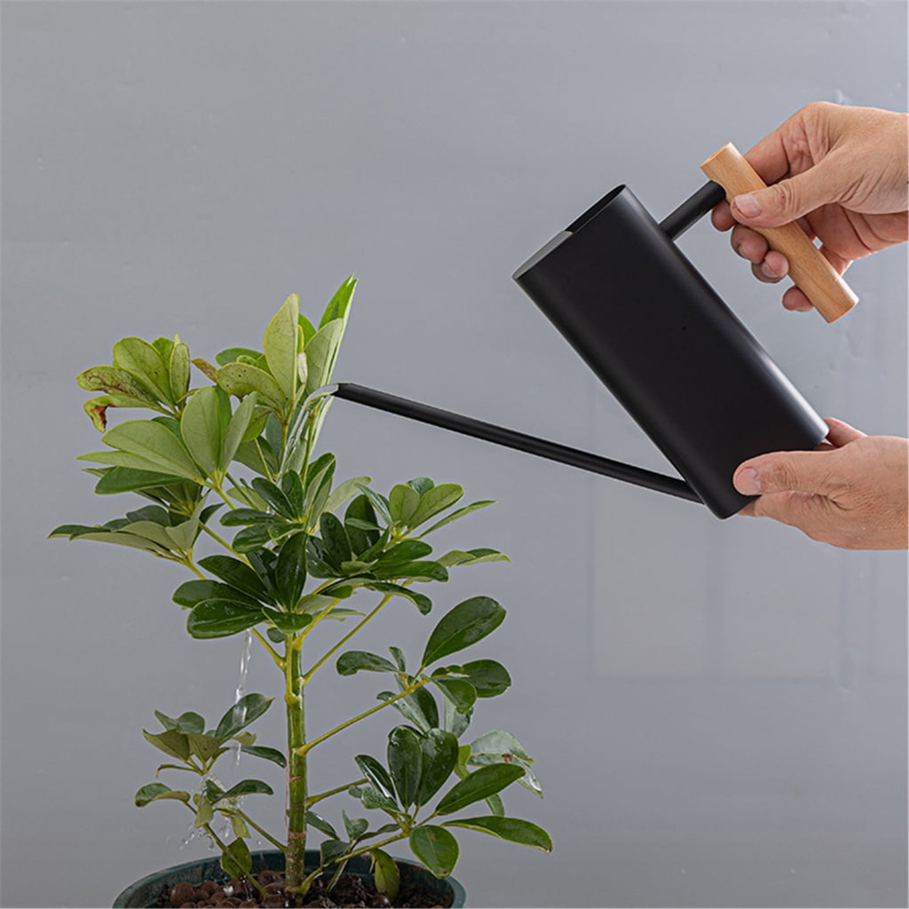 KCAHPAN Stainless Steel Watering Can Long Spout for Indoor and Outdoor Garden Plant