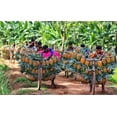 thumbnail image 2 of Rahman Nasim, Mostafijur 18x13 White Modern Wood Framed Museum Art Print Titled - Ripe Pineapple, 2 of 4
