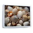 thumbnail image 2 of Designart "Beach Photo Seashell Euphony IX" Nautical & Beach Floater Framed Canvas Art Print, 2 of 7