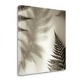 thumbnail image 2 of Tangletown Fine Art Florison - 65 by Alan Blaustein Poster Frame - 30 x 30 x 1.5 in., 2 of 2