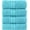 Aqua, variant on Elegant Comfort Turkish Cotton Hand Towel Set, 4-Pack, 16" x 28", Highly Absorbent - Soft Bathroom Towels, Gold
