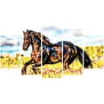 thumbnail image 3 of Design Art Ride Free Horse Animal Art Single Panel Canvas Wall Art, 3 of 4