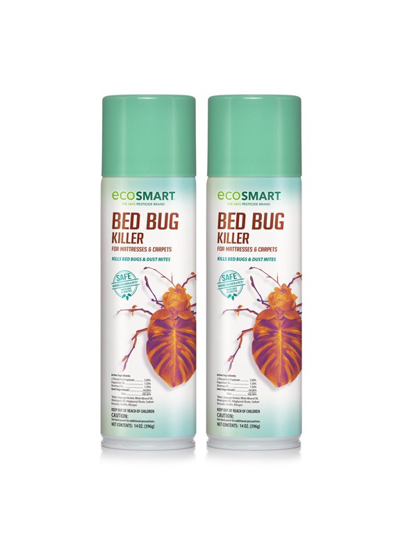 Bed Bugs in Pest Control
