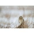 thumbnail image 3 of Delimont, Danita 24x17 Black Modern Framed Museum Art Print Titled - Prairie Winter, 3 of 5