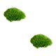 thumbnail image 4 of Naiovety Cojín de musgo para decoración interior o exterior elegante, musgo decorativo verde Natural, musgo de almohada G2 verde natural0.2 2piezas, 4 of 6