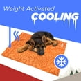 thumbnail image 3 of Coleman Small Navy Botanical Pattern Reversible Cooling Mat  18 x 24, 3 of 11