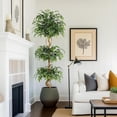 thumbnail image 7 of Artificial Ficus Silk with Curved Trunk,Faux Pot Plant Fake Silk Trees for In/Outdoor Home Decor, 7 of 7