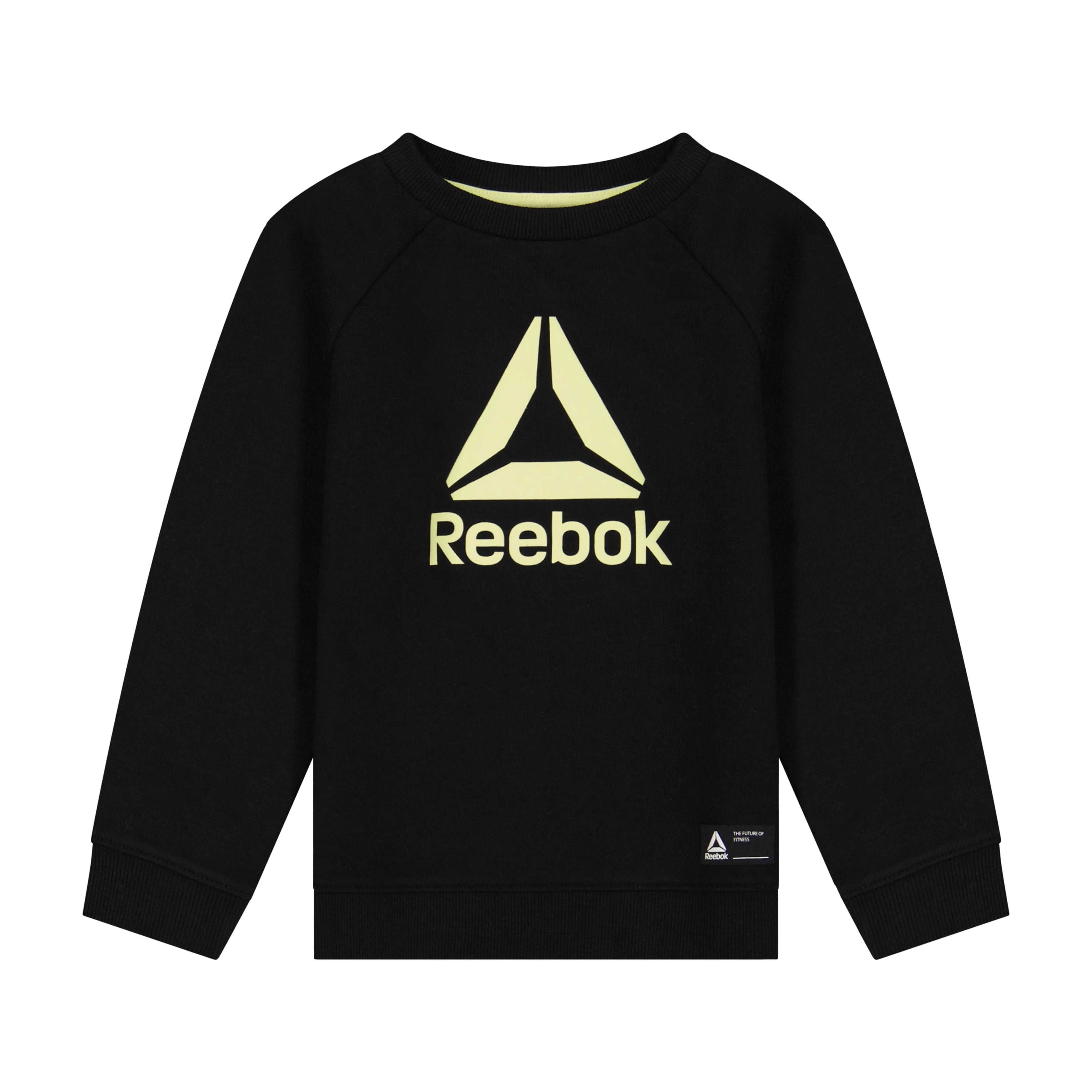 Reebok Toddler Play Hard Crew and Jogger Colorblock Set, 2-Piece, Sizes 12M-5T