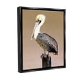 thumbnail image 4 of Stupell Industries Pelican on Perch Animals & Insects Painting Black Floater Framed Canvas Art Print Wall Art, 25 x 31, 4 of 10