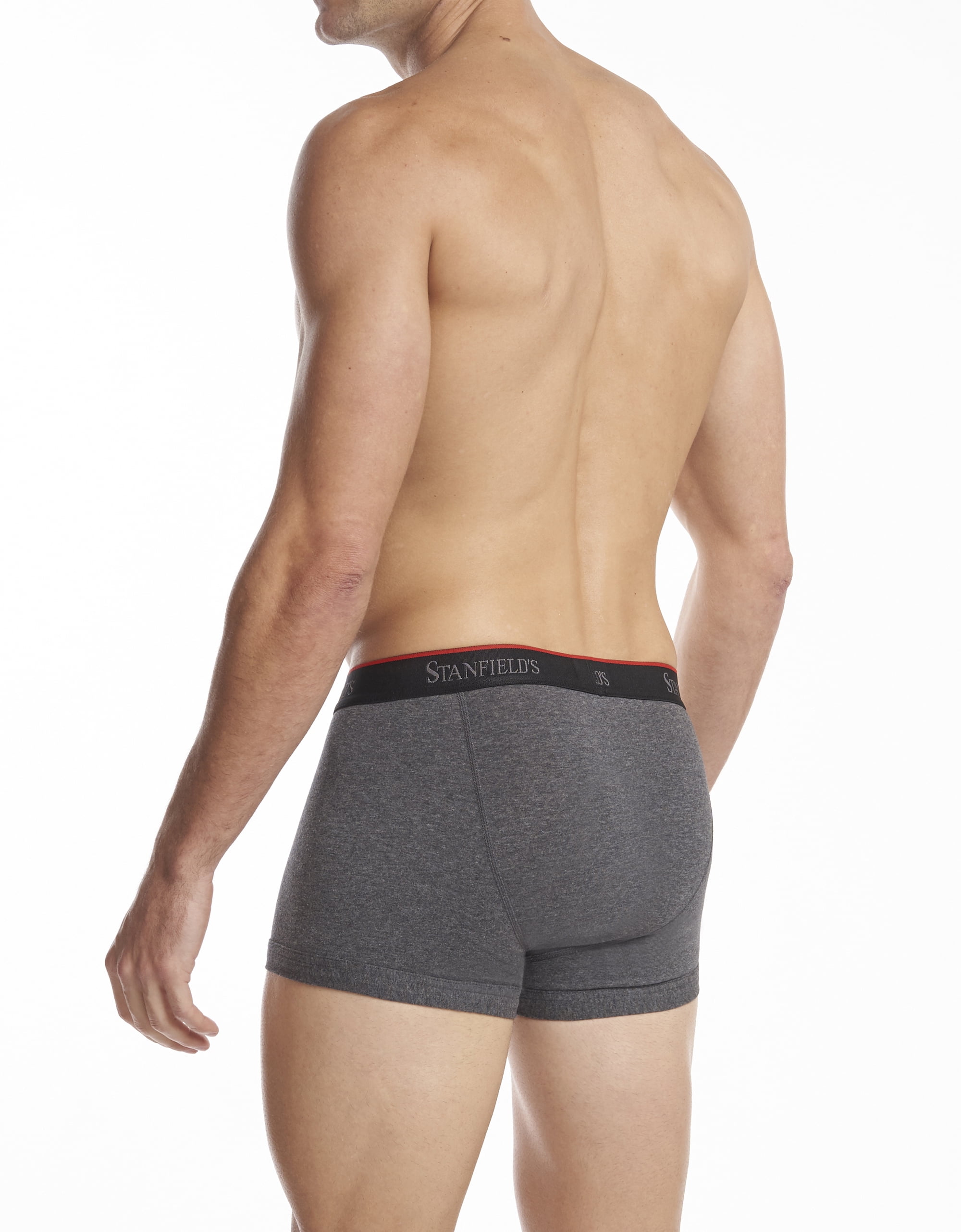 ◆ ◆ Men's Icon Cotton Stretch 2PK Trunks Stanfield's 2-Pack Mens Cotton Stretch Trunks Underwear