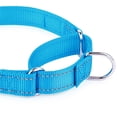 thumbnail image 7 of CHBORLESS Reflective Martingale Collar with Quick Snap Buckle Adjustable Nylon Dog Collar,Sky Blue,Small, 7 of 7