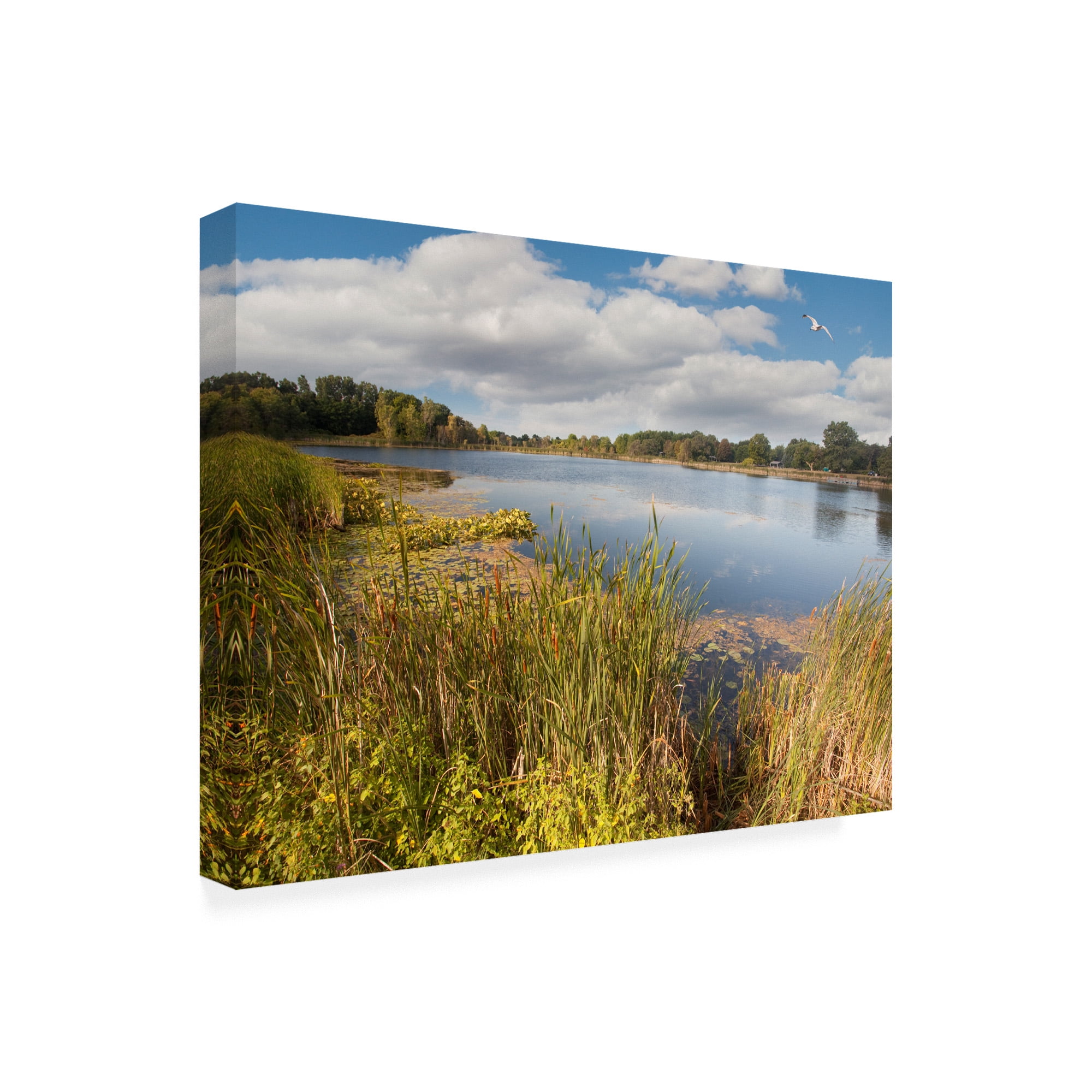 Trademark Fine Art 'Hopkins Lake Owosso Mi' Canvas Art by Monte Nagler