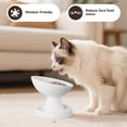 thumbnail image 3 of Pawinner Ant-Proof Elevated Ceramic Cat Bowl, 15° Tilted Design Reduces Vomiting, Neck & Whisker Strain, Pet Feeder Bowl for All Life Stages, White, 3 of 7