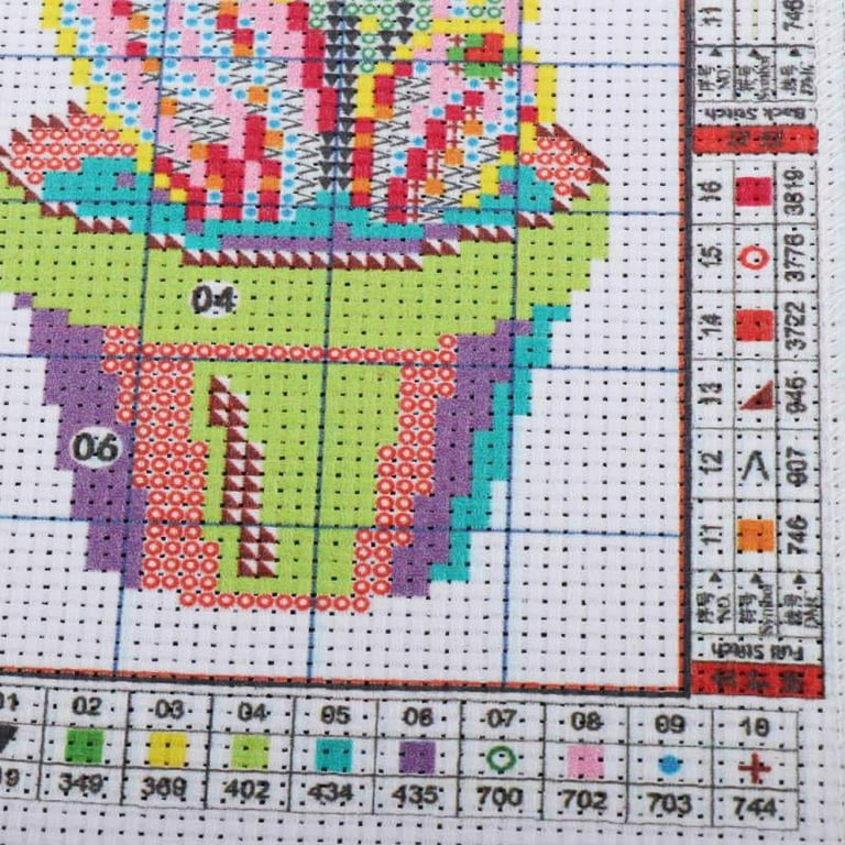 Stamped Cross Stitch for Beginners Pre-Printed Cactus Pattern Aida Cloth 