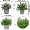 thumbnail image 2 of Set of 3 Small Potted Plants Artificial Euc Rosemary Boxwood Plants in Black and White Geometric Pots for Table Centerpiece Kitchen Counter Windowsill Indoor Outdoor Garden Greens Decor, 2 of 5