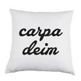 thumbnail image 1 of Carpa Diem White Satin Throw Pillow 16 inch Square with Insert Included, 1 of 1