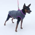 thumbnail image 6 of KMWGRE Cozy Solid Knit Pullover Sweater for Small Dogs Autumn Winter Soft Pet Apparel Grey XS, 6 of 7
