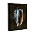 thumbnail image 4 of Stupell Industries Dark Conch Shell Nature Painting Black Floater Framed Canvas Art Print Wall Art, 17 x 21, 4 of 10