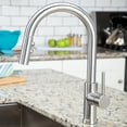 thumbnail image 5 of Speakman SB-1042-SS Kitchen-Sink-faucets, Stainless, 5 of 5