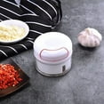 thumbnail image 1 of Garlic Chopper Garlic Crusher Press Stainless Steel for Cooking Tool Kitchen Gadgets Garlic Masher, 1 of 10