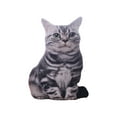 thumbnail image 2 of Kraoden Cat Plush Body Pillow, Cat Stuffed Animal, Soft Plush Pillow, Kitten Plush Throw Pillow Doll Big Plush Toy Decoration Doll Gift for Kids Boys, 2 of 8