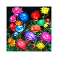 thumbnail image 2 of Paquete de 4 Luces Solares de Jardín, Luces Decorativas de Flores Solares con 20 Flores de Rosas para Decoración de Fiesta en el Césped del Patio Exterior, 2 of 5