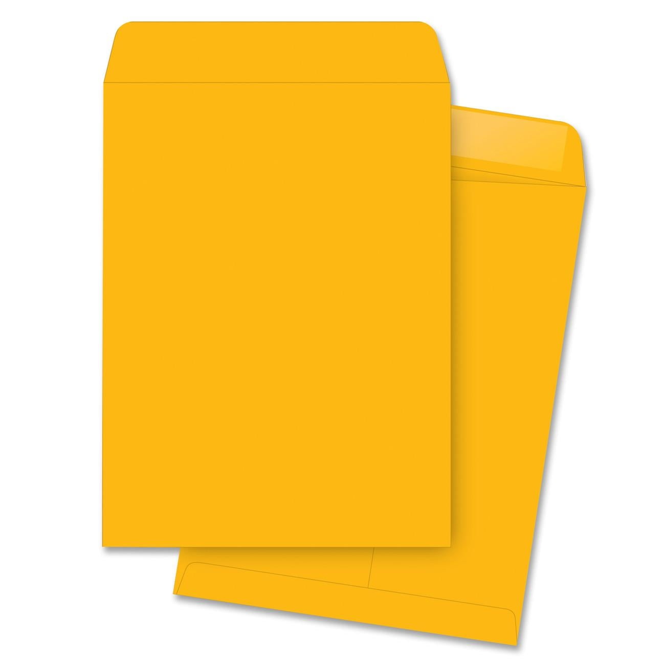 Business Source Large Format Catalog Envelopes - 9x12 Inches, Open End, 250/Box